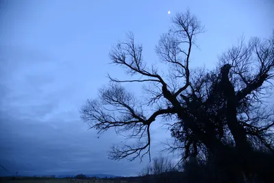 DSC_1129 (Large).JPG